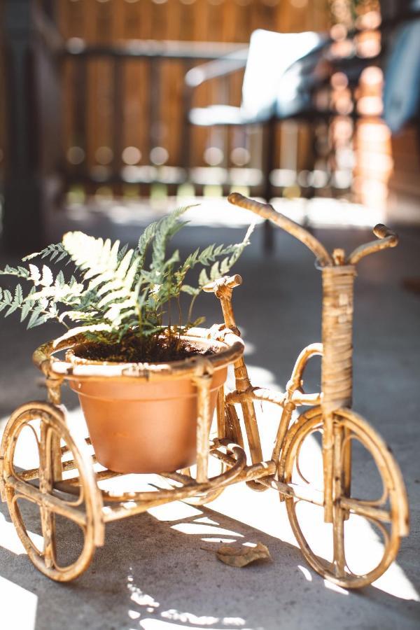 Wynkoop At Carlton: Taste Of Europe, Walk To Wineries, Dog Friendly Villa Buitenkant foto